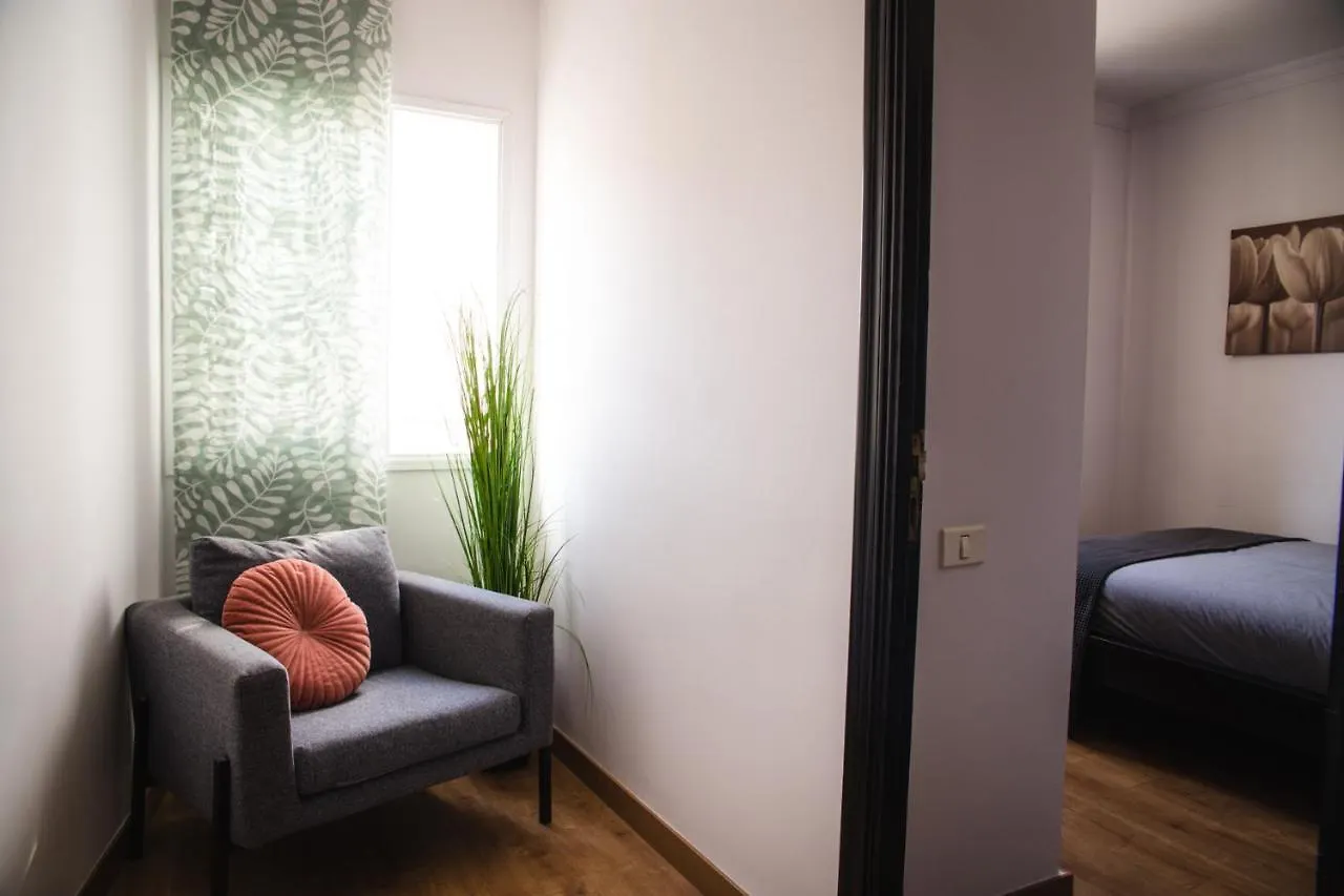 Apartment Canary Treasure La Laguna Exclusiveness Prime Location Spain