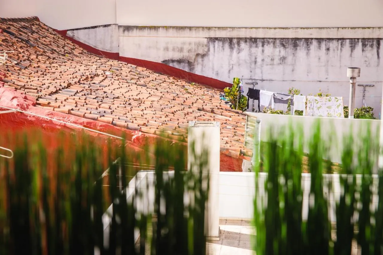 Canary Treasure La Laguna Exclusiveness Prime Location La Laguna (Tenerife)